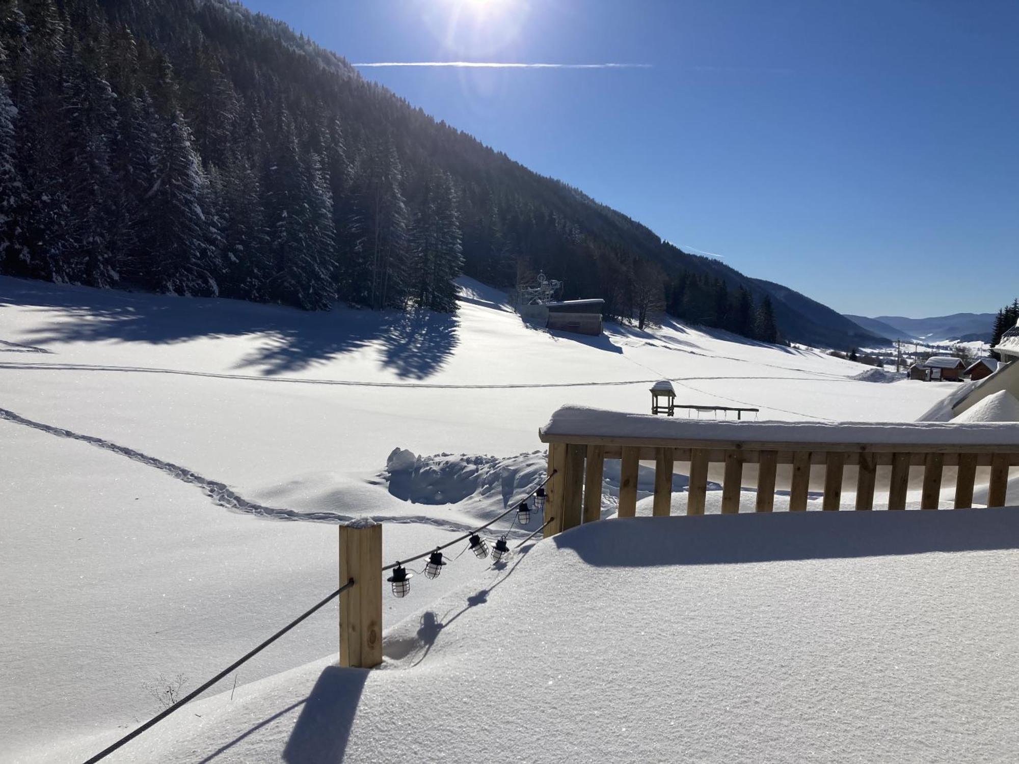 Gite La Resilience, Sur La Piste De Ski D'Autrans Villa Kamer foto