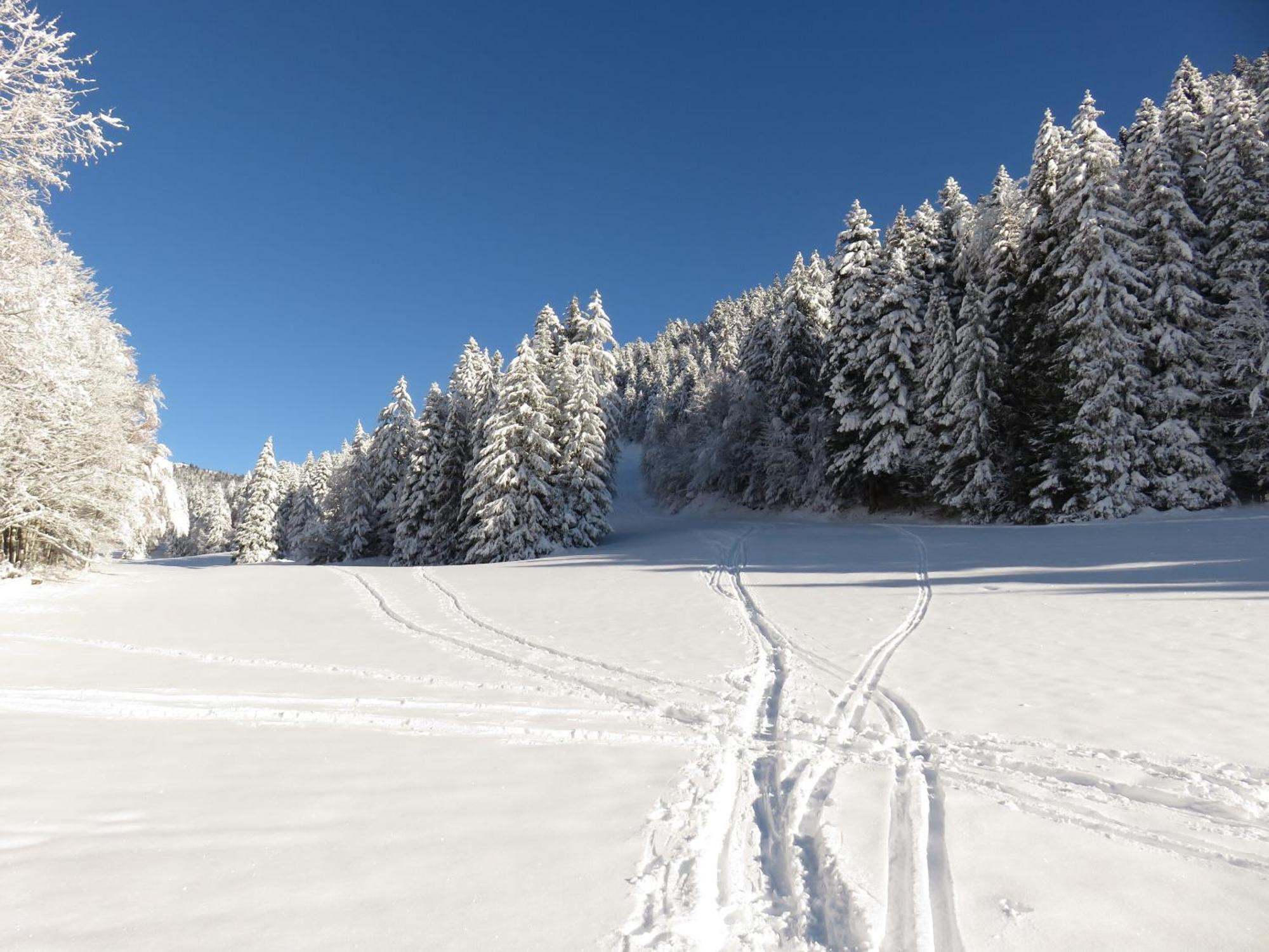 Gite La Resilience, Sur La Piste De Ski D'Autrans Villa Buitenkant foto